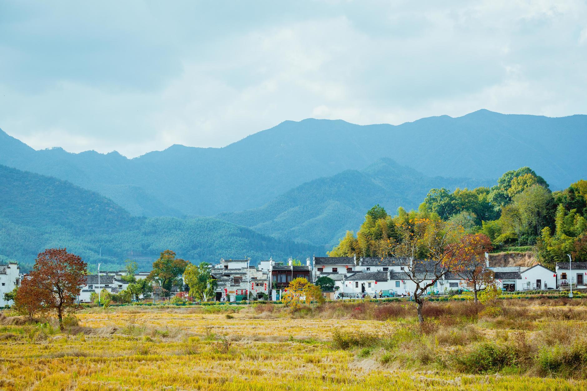 安徽小巷深处的独特风情