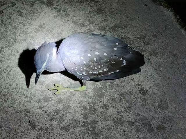 阳光海岛梦之旅，探索海南独特魅力