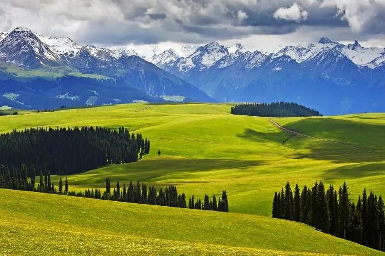 新疆巷弄中的隐秘美食之旅