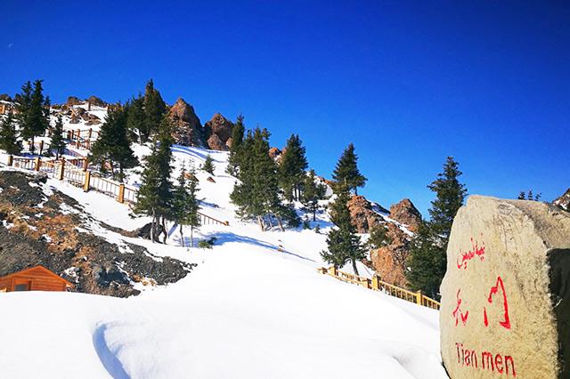 西域净土,探寻神秘新疆的绿色魅力